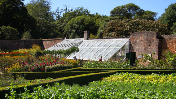 The Lost Gardens of Heligan