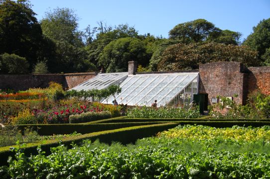 The Lost Gardens of Heligan