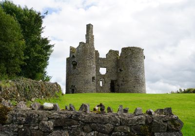 Ballinafad Castle