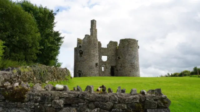 Ballinafad Castle