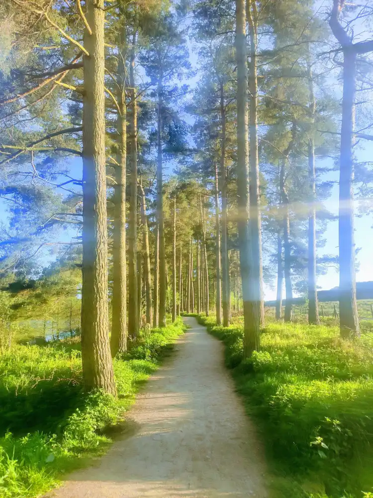 Hôtels à : Northallerton