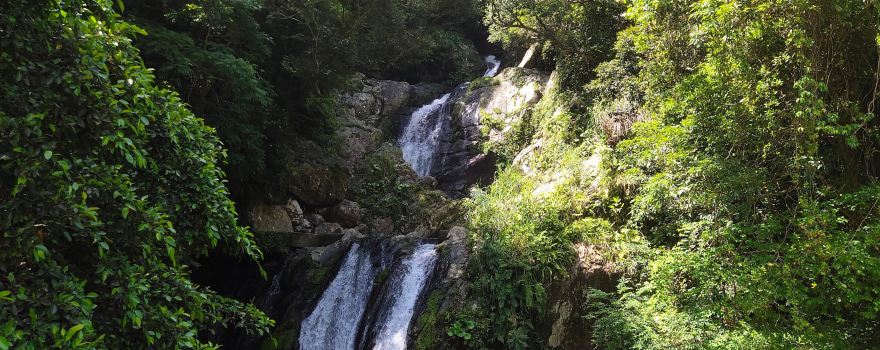 Arangachi Falls