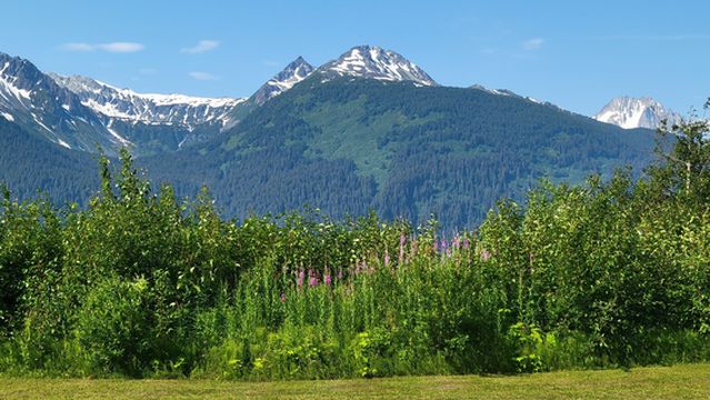 Valley of the Eagles Golf