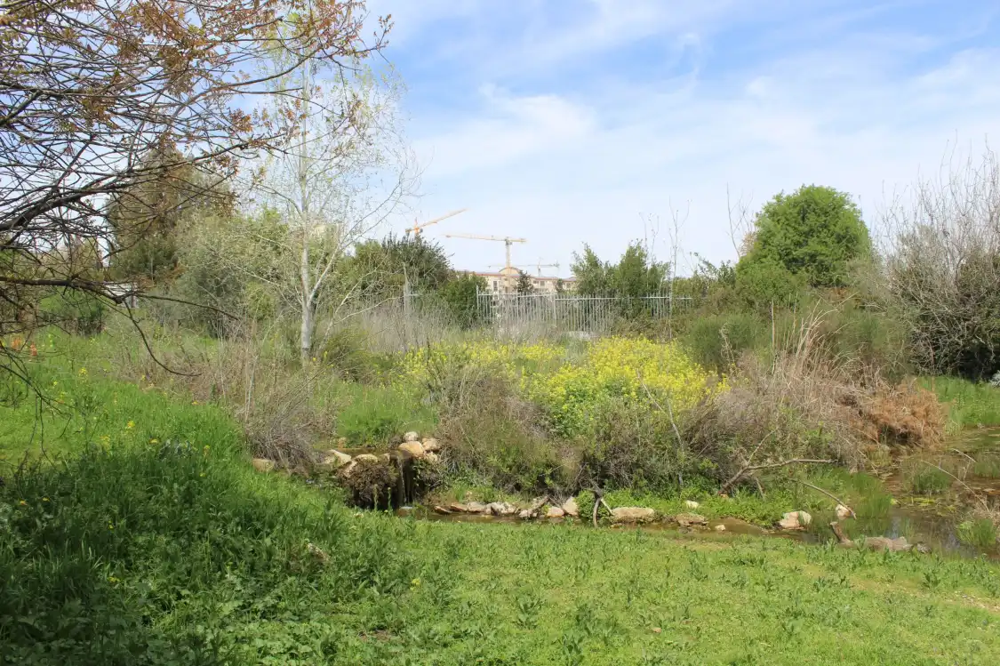 Hotel in zona Osservatorio ornitologico di Gerusalemme