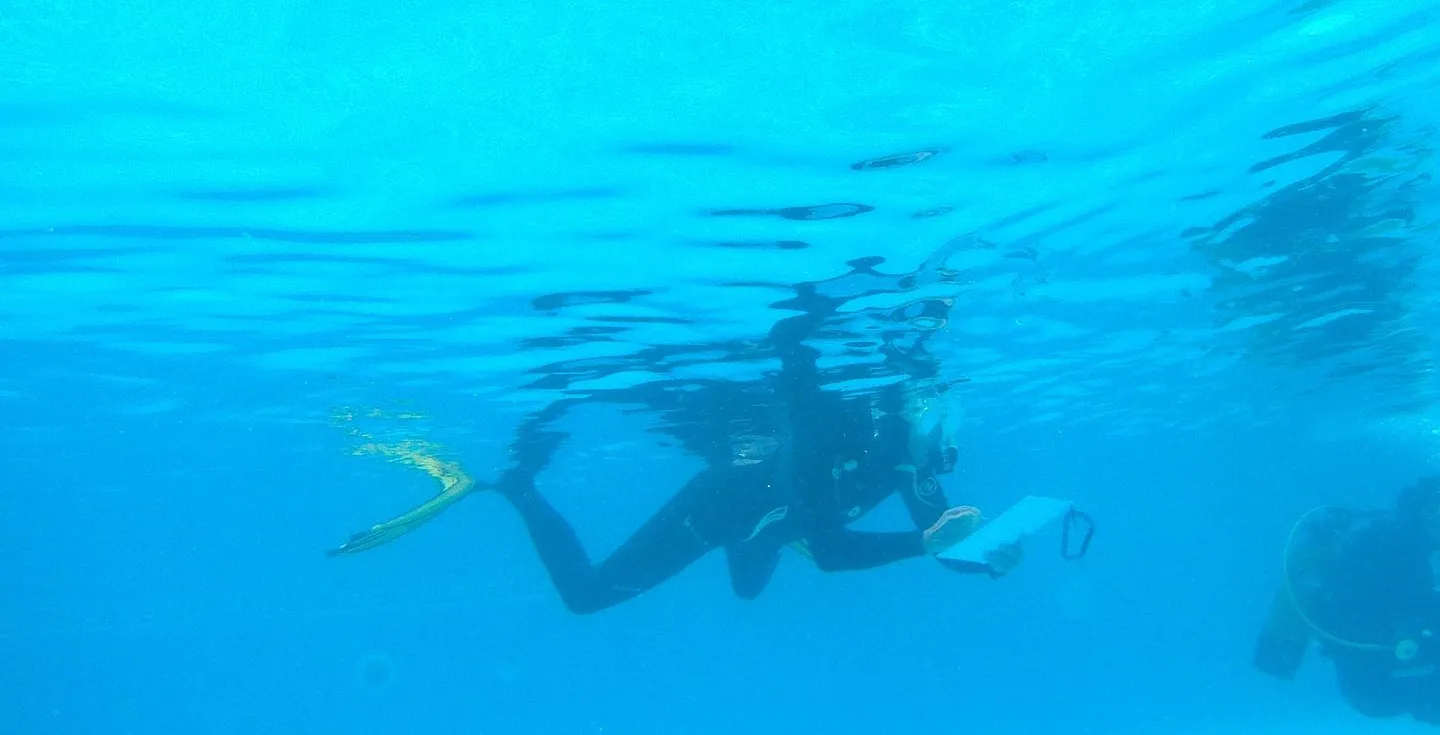 5_IDC GO PRO Academy