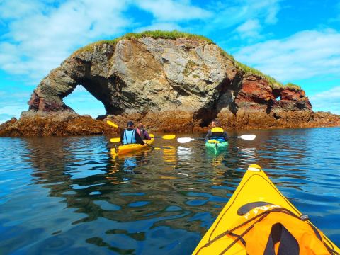 ${{cityDName}} Ninilchik uçak bileti