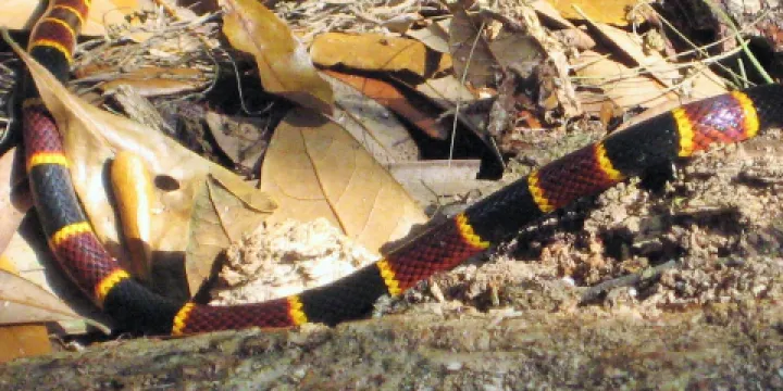 Carney Island Recreation & Conservation Area