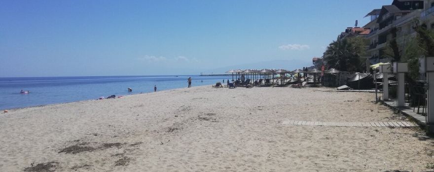Olympic Beach