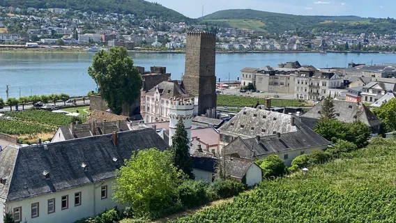 Freibad Asbach Bad Rudesheim
