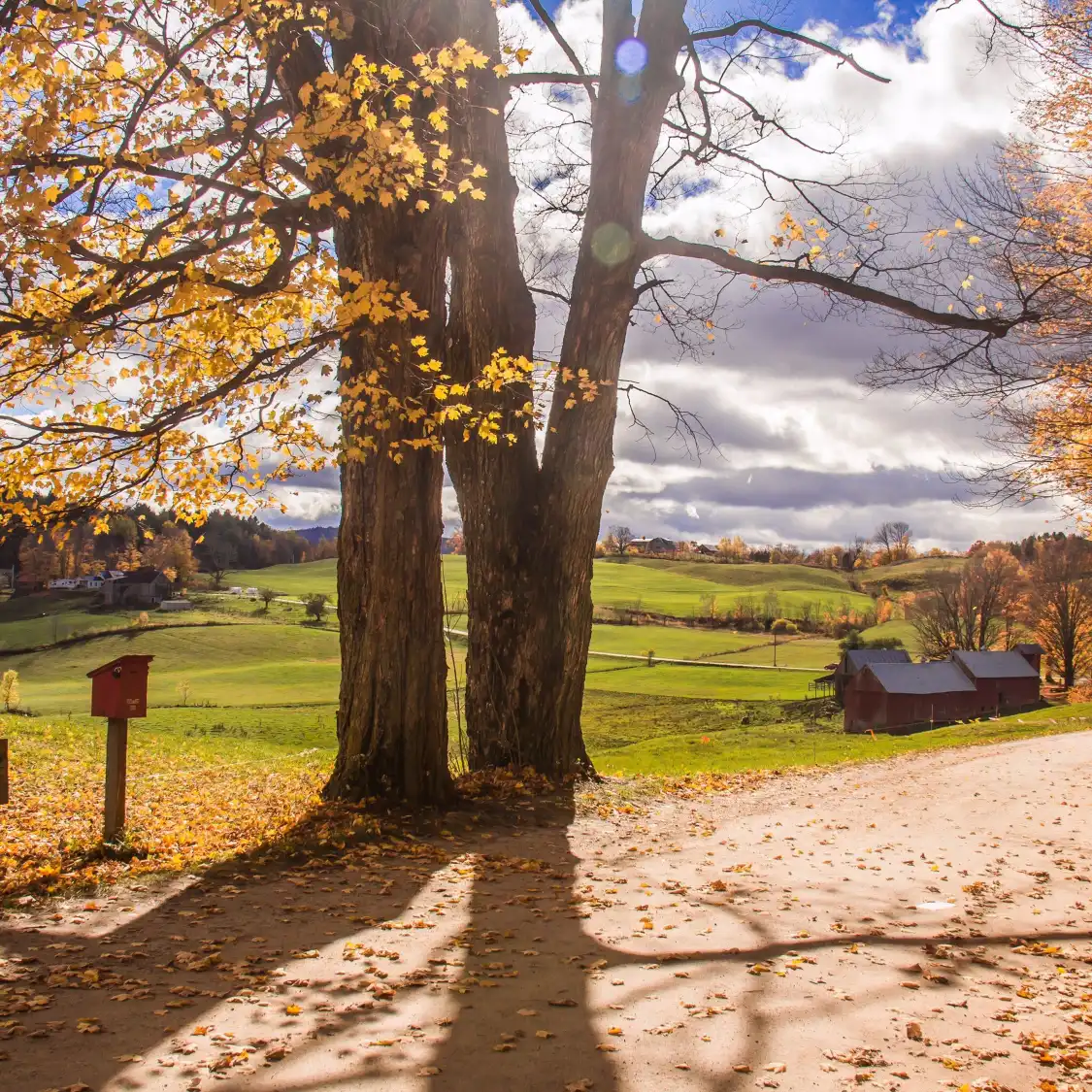 Hotels near Woodstock Vermont Historical Society