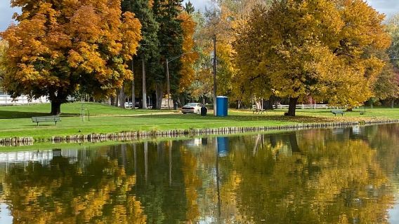 Woodland Water Park