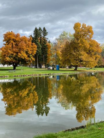 Woodland Water Park