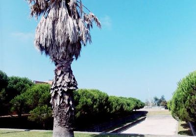 University of Aveiro