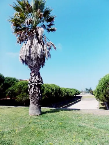 University of Aveiro