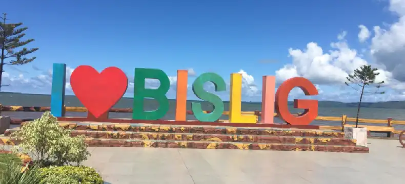 Hotels in Bislig