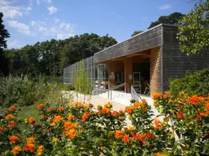 Camifolia Garden