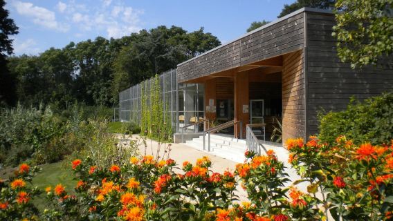 Camifolia Garden
