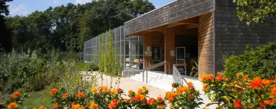 Camifolia Garden