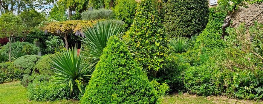 Le Jardin de la Mothe