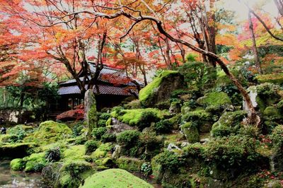 Kyorinbo Temple