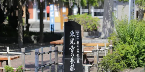 東光寺