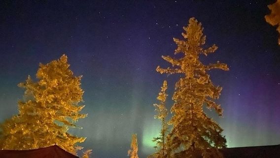 The Jasper Planetarium & dark sky telescope tours