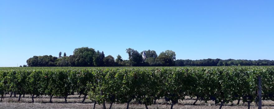 Domaine de la Grézille