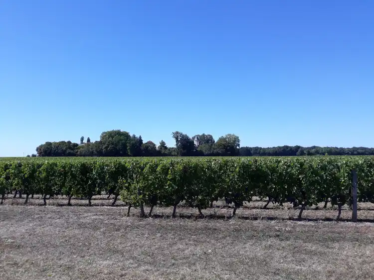 Hôtels à : Ambillou-Château