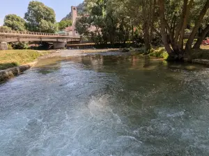 Parco Avventura