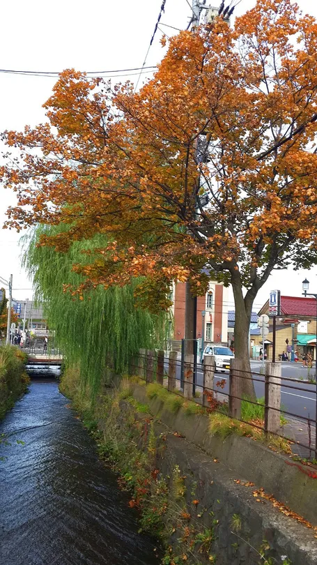 3_Otaru Hanazono Ginza Shotengai