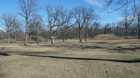The Borre Mounds