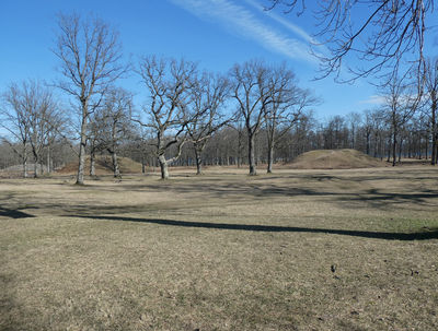 The Borre Mounds