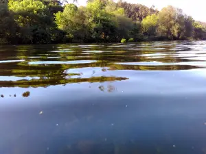 Playa Fluvial de Tapia
