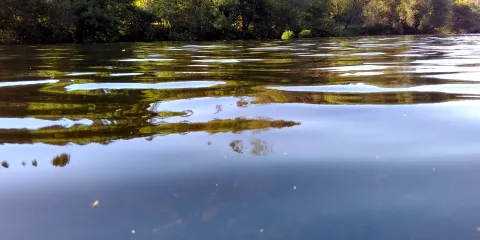 Playa Fluvial de Tapia