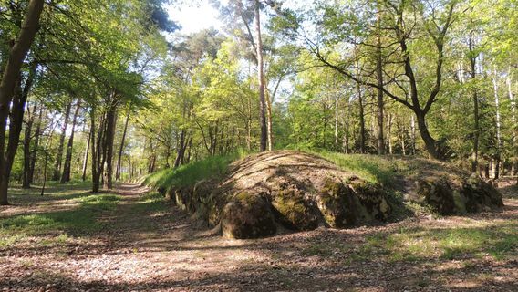 Cultural Park Wietrzychowice