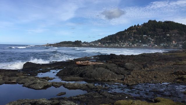 Yachats Ocean Road State Natural Site