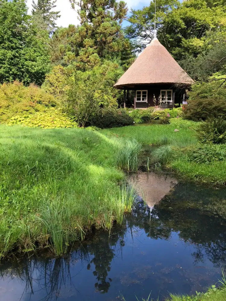 Hotels near Botanical Garden