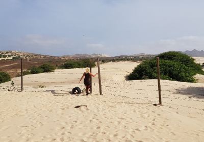 Deserto de Viana