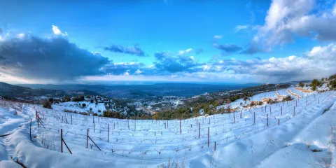 Batroun Mountains Winery