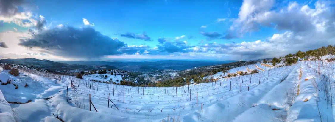 Hotels near Batroun Mountains Organic Winery
