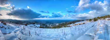 Batroun Mountains Organic Winery
