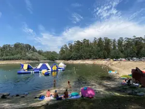 Ilha Do Ermal