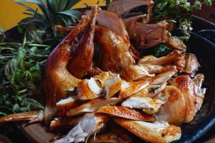 Bon Cote/UMITO LIFE NAKAMA