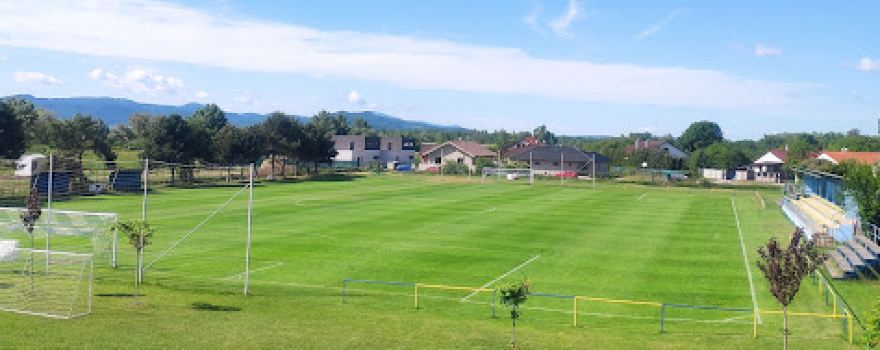 FK Slovan 1919 Bolešov