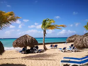 Playa Pública Dominicus