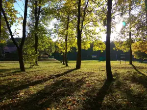 Piačerski forest park