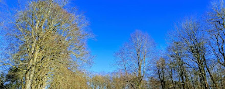 Augarten