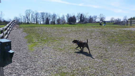 Ida Juris Bennett Dog Park