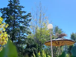 Camping municipal La Vertiente