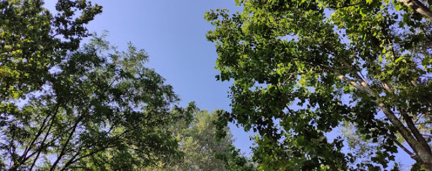 Camping filoxenia
